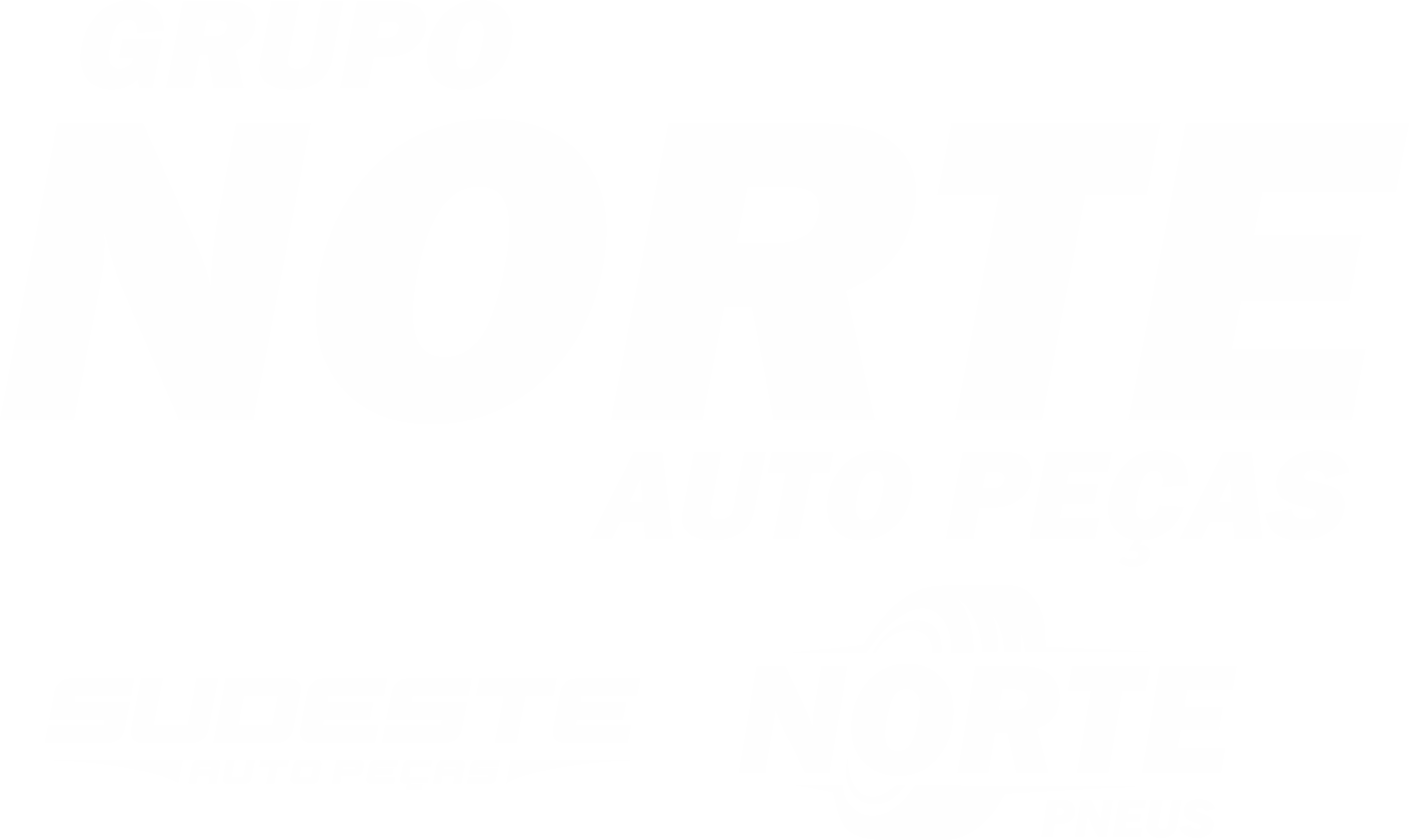 Norte Auto Peças Logo